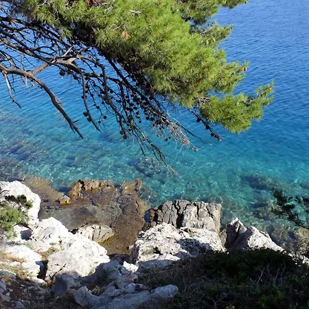 With A Parking Space Bozava, Dugi Otok - 8123 Apartment Bozava