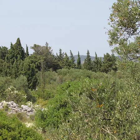 With Parking Space Bozava, Dugi Otok - 8123 Apartman *